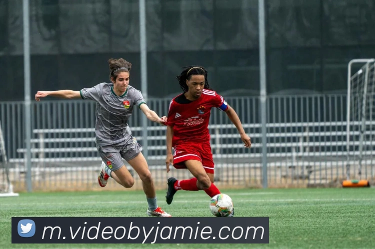 App界面